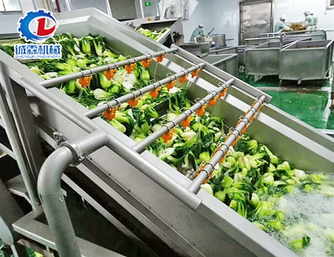 油菜气泡清洗机